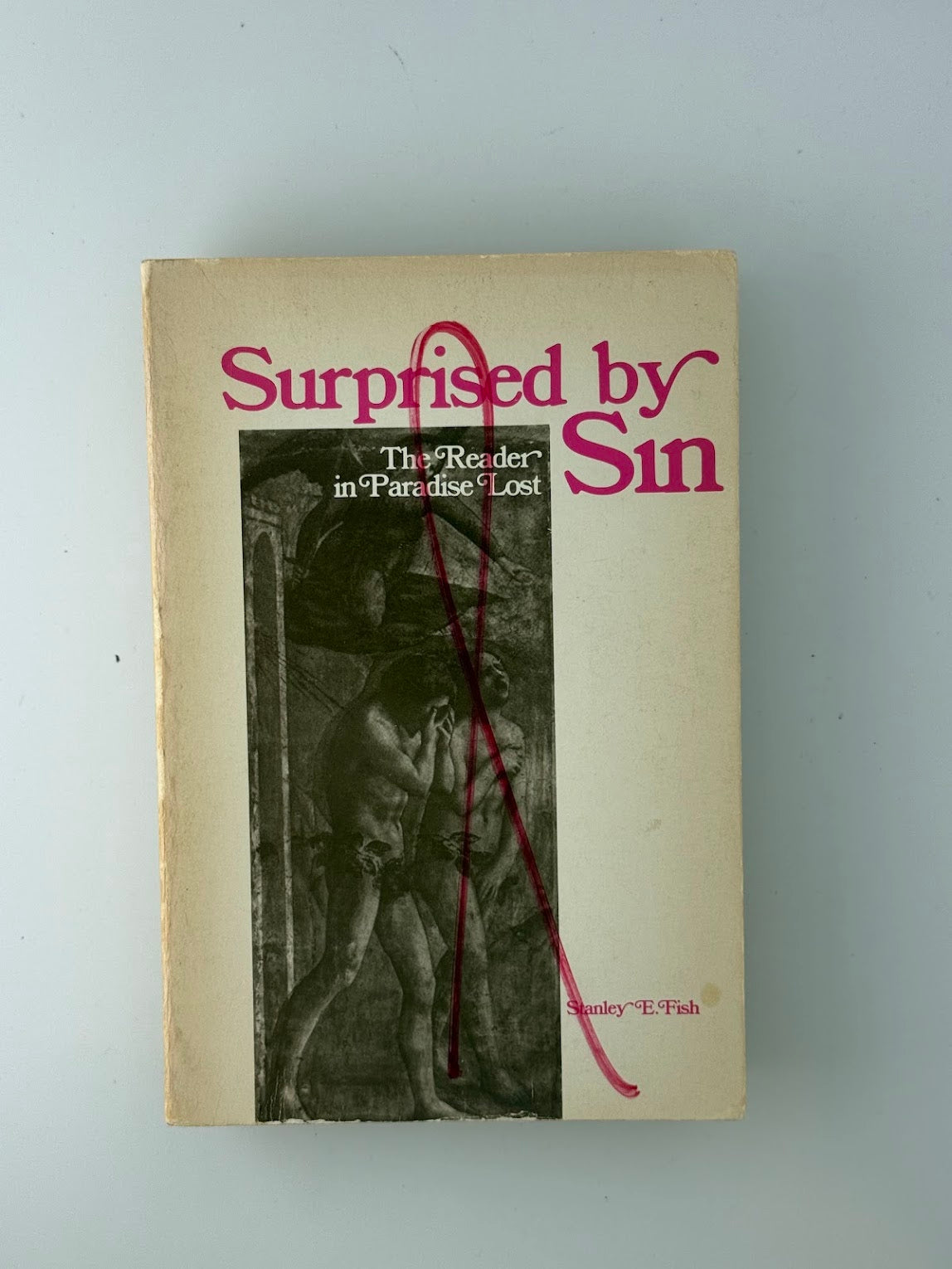Surprised by Sin by Stanley E. Fish