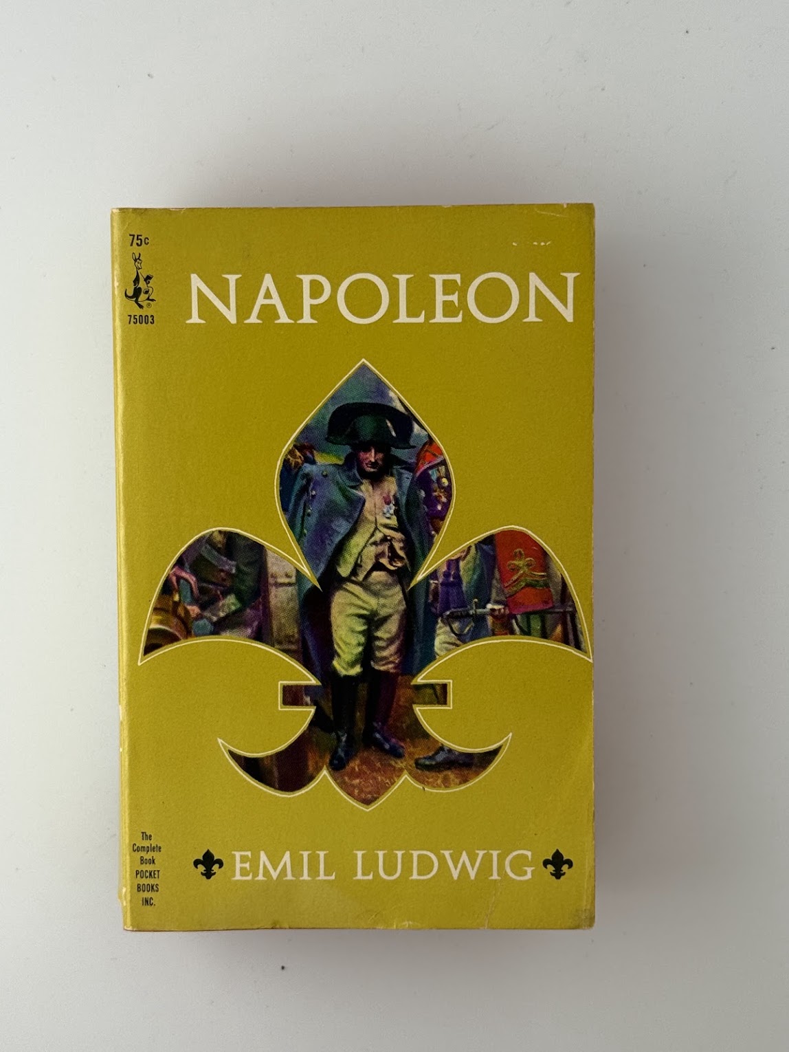 Napoleon by Emil Ludwig