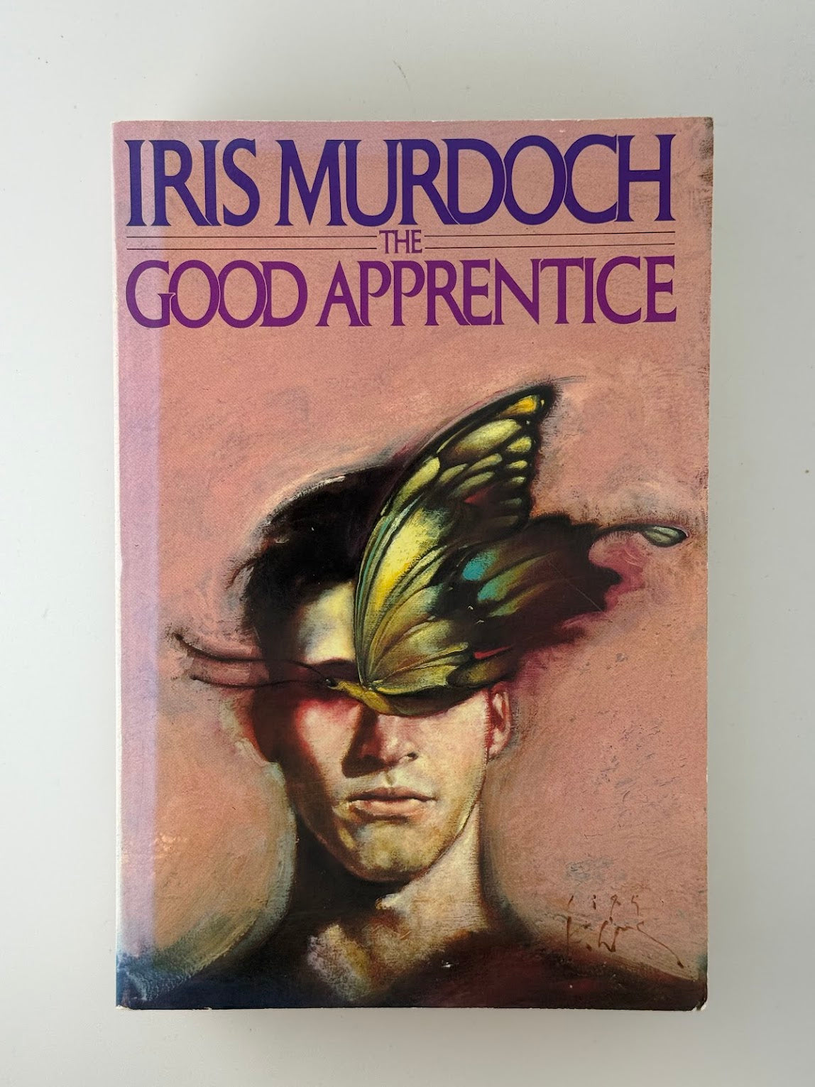 The Good Apprentice by Iris Murdoch