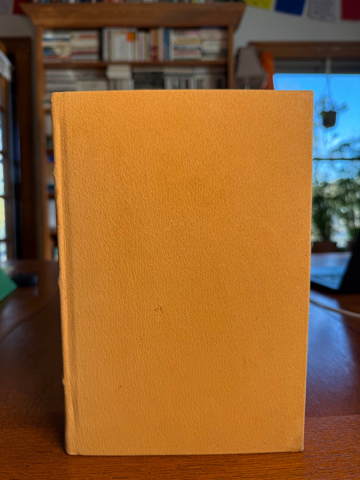 Democracy in America by Alexis de Tocqueville