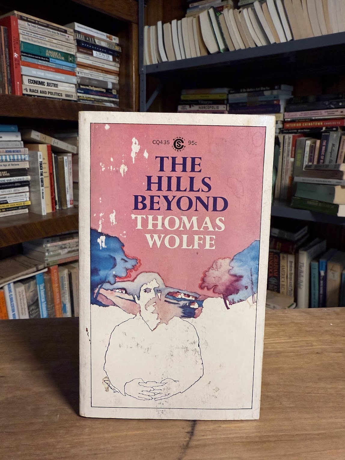 The Hills Beyond by Thomas Wolfe