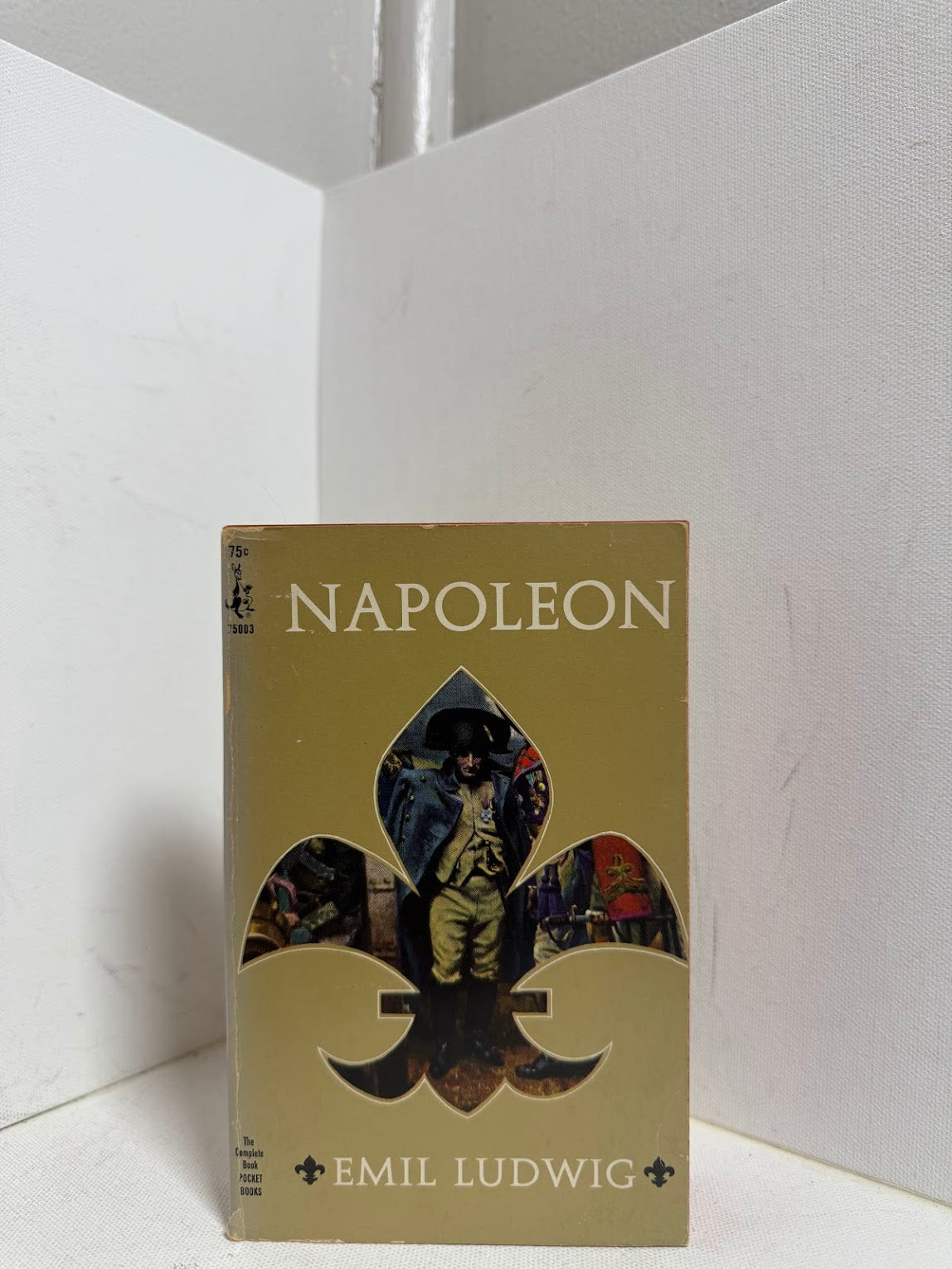 Napoleon by Emil Ludwig