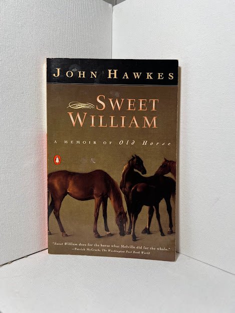 Sweet William by John Hawkes