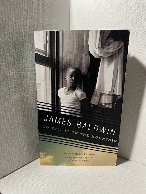 Go Tell it on the Mountain by James Baldwin