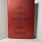 The Other Americans by Laila Lalami
