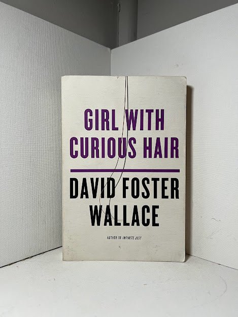 Girl With Curious Hair by David Foster Wallace